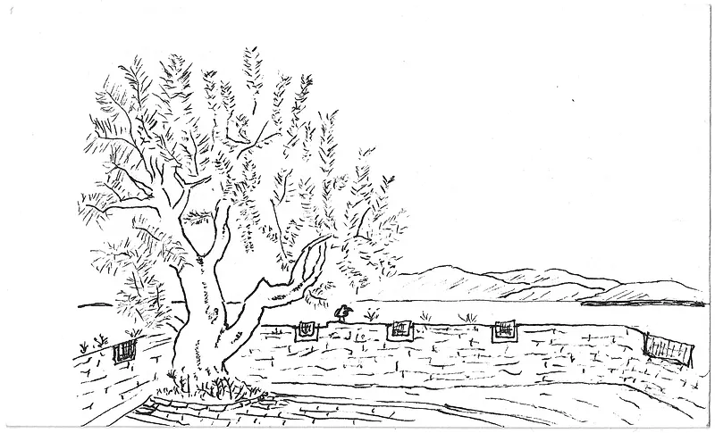 scan-1-1